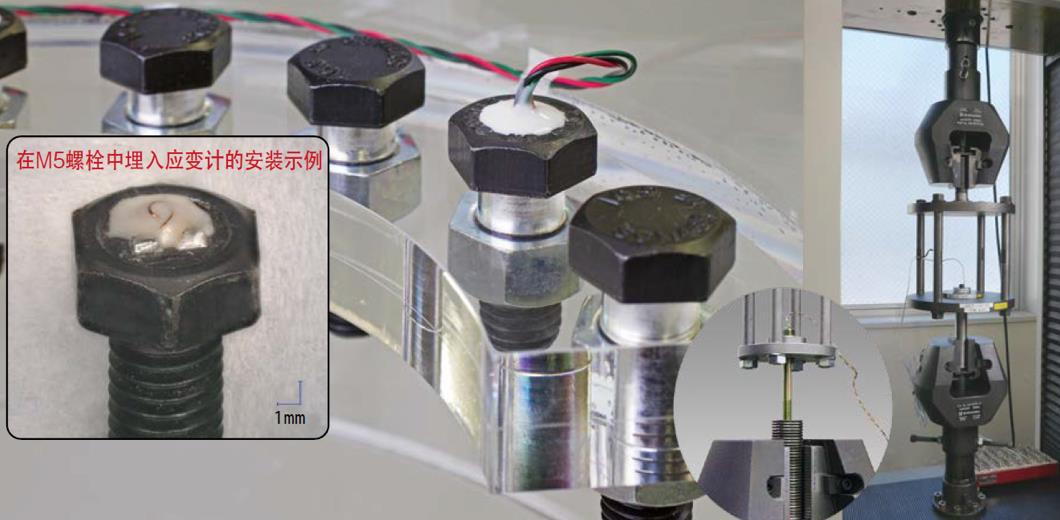 918博天堂·(中国)娱乐官网登录