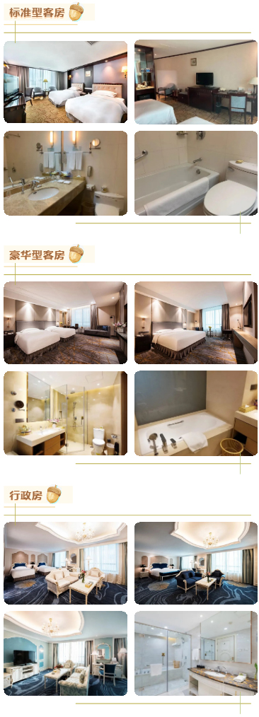 918博天堂·(中国)娱乐官网登录